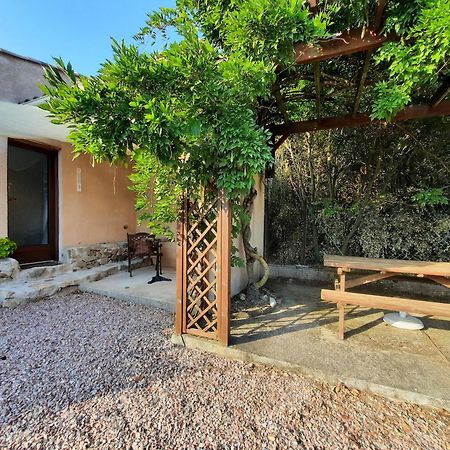 Le Lodge Des Chenes Brousses-et-Villaret Bagian luar foto