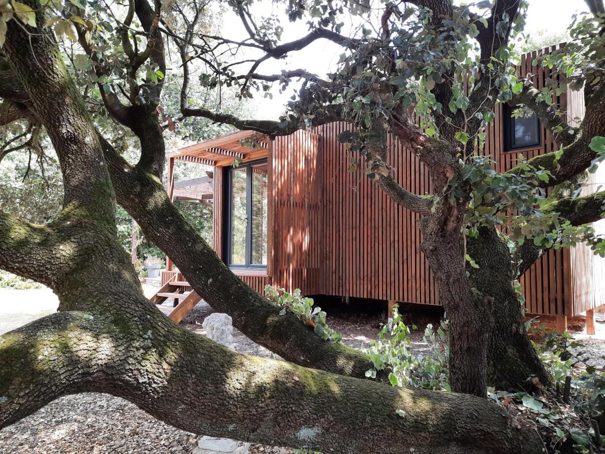 Le Lodge Des Chenes Brousses-et-Villaret Bagian luar foto