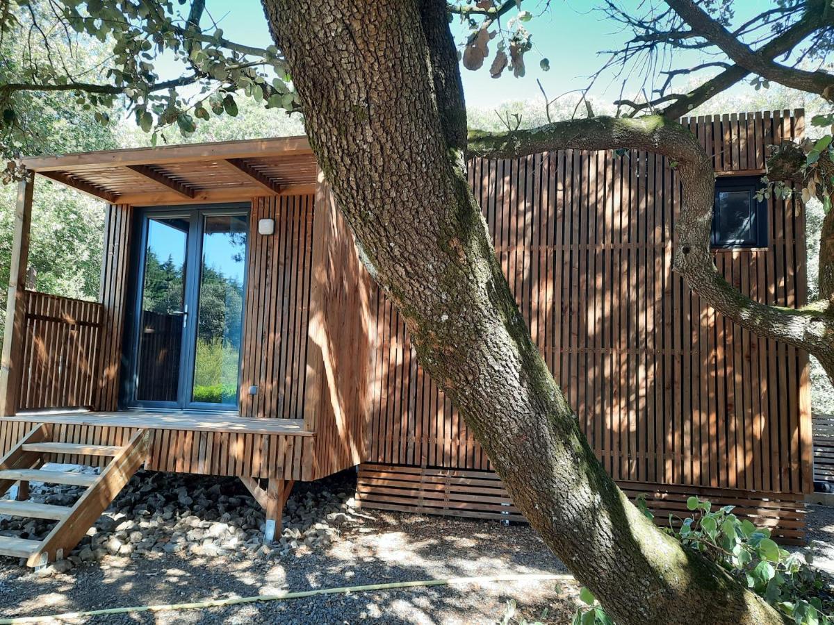 Le Lodge Des Chenes Brousses-et-Villaret Bagian luar foto