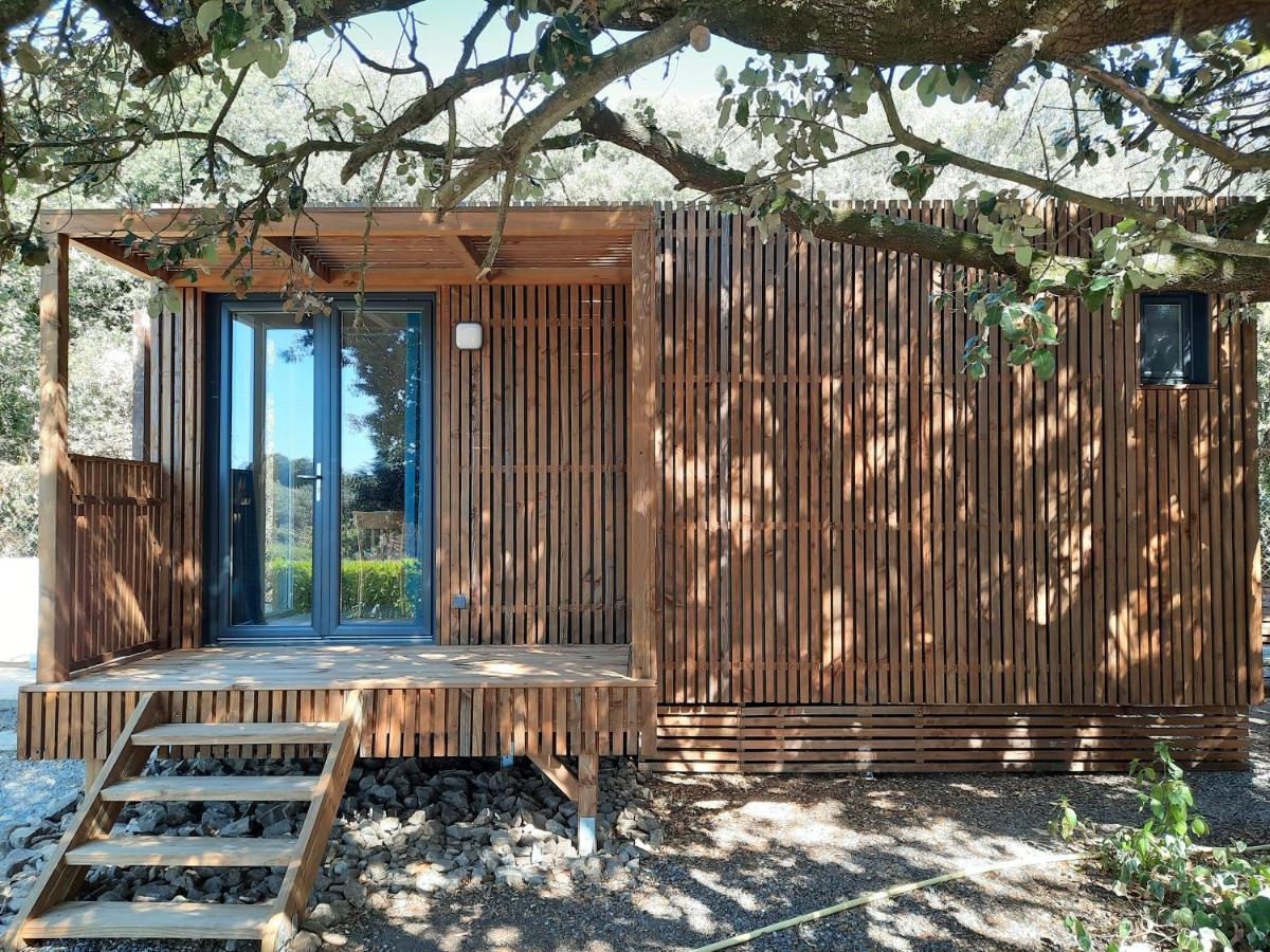 Le Lodge Des Chenes Brousses-et-Villaret Bagian luar foto
