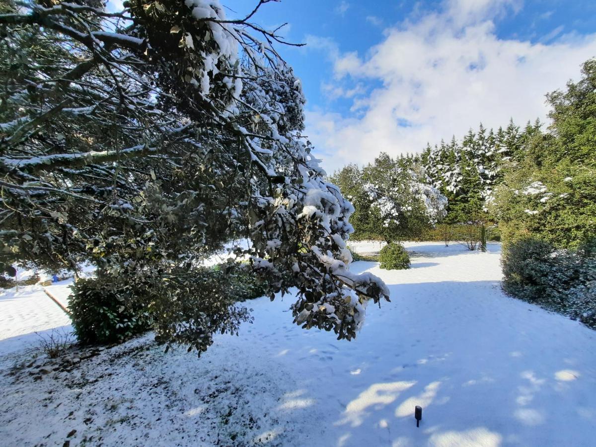Le Lodge Des Chenes Brousses-et-Villaret Bagian luar foto
