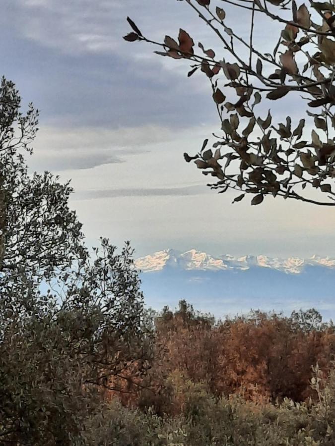 Le Lodge Des Chenes Brousses-et-Villaret Bagian luar foto
